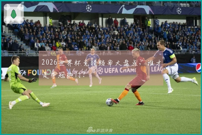2026世界杯竞猜赔率大盘点,谁才是夺冠热门?