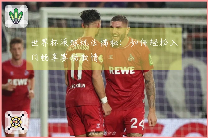 世界杯滚球玩法揭秘:如何轻松入门畅享赛场激情