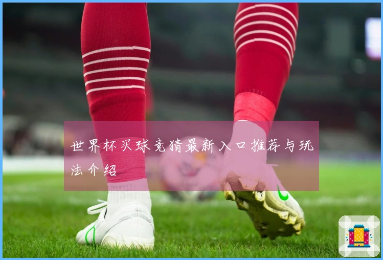 世界杯买球竞猜最新入口推荐与玩法介绍