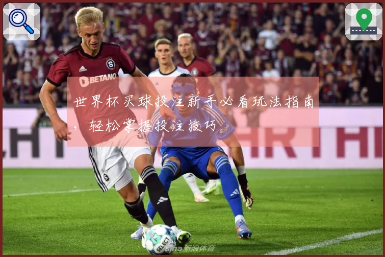 世界杯买球投注新手必看玩法指南，轻松掌握投注技巧