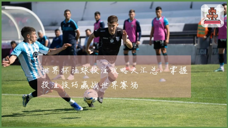 世界杯让球投注攻略大汇总，掌握投注技巧赢战世界赛场