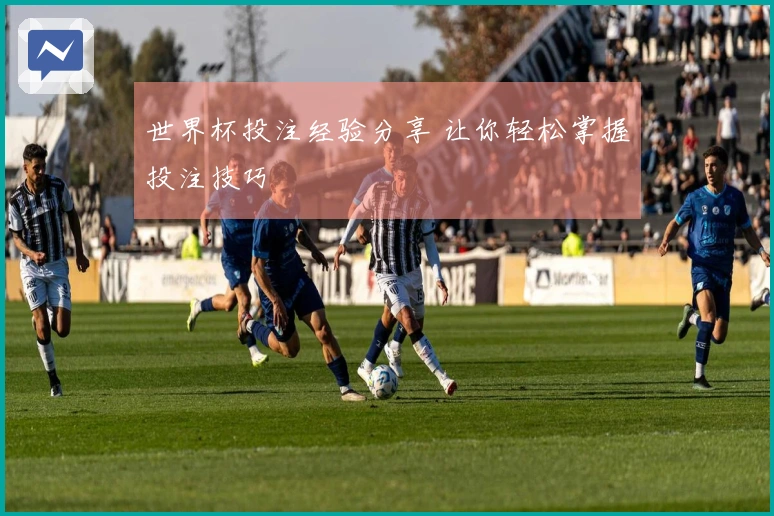 世界杯投注经验分享 让你轻松掌握投注技巧