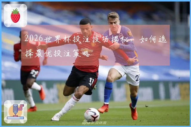 2026世界杯投注技巧揭秘，如何选择最优投注策略