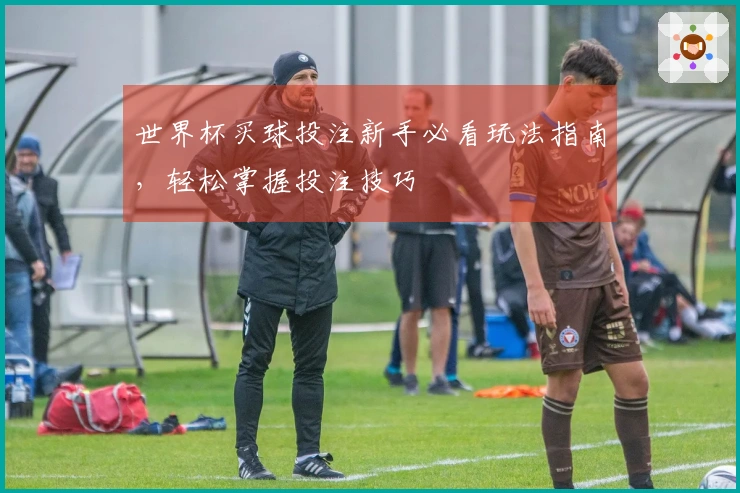世界杯买球投注新手必看玩法指南，轻松掌握投注技巧