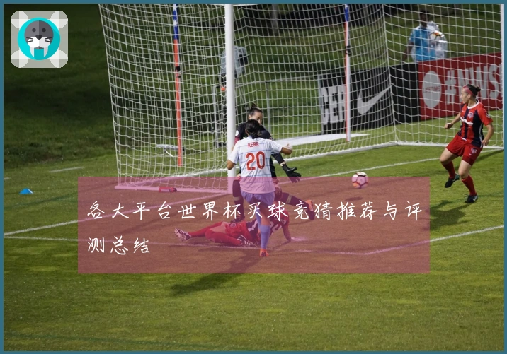 各大平台世界杯买球竞猜推荐与评测总结