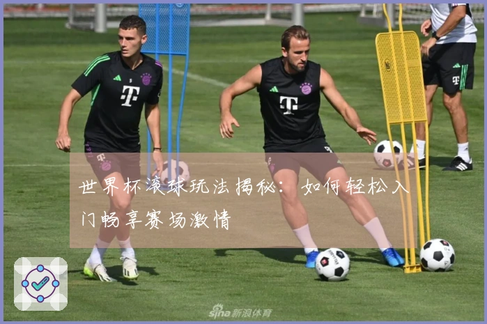 世界杯滚球玩法揭秘：如何轻松入门畅享赛场激情